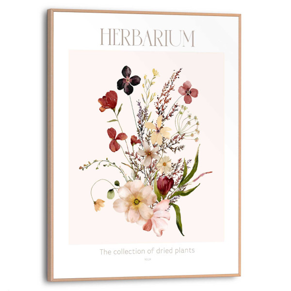 Bild HERBARIUM