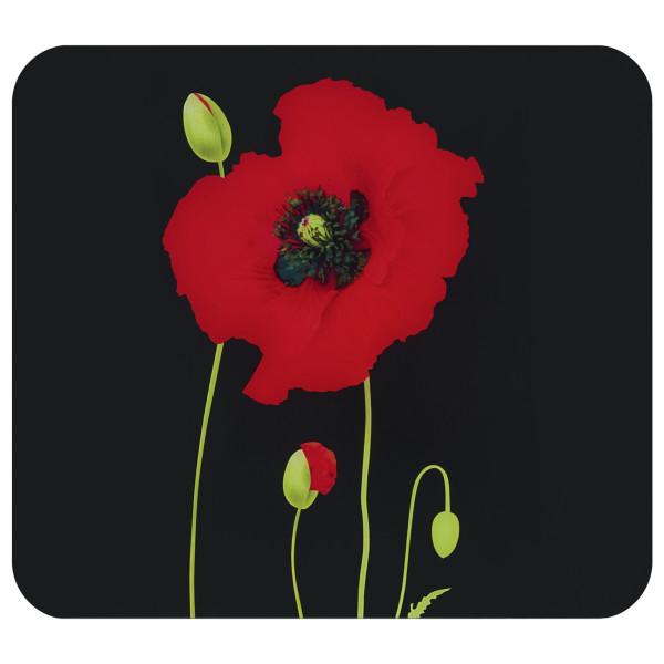 Multi-Platte MOHN in mehrfarbig aus Glas