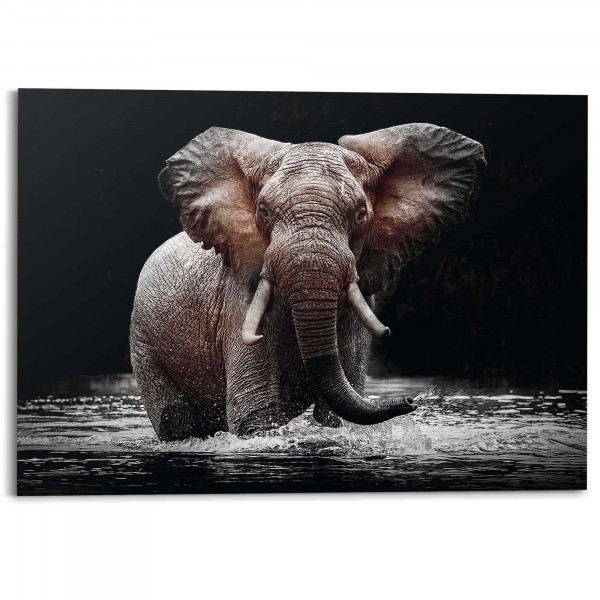 Bild ELEPHANT IN LAKE