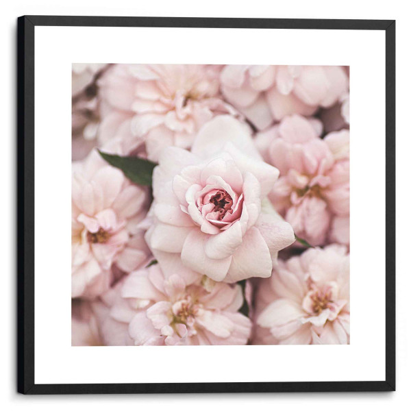 Bild PFINGSROSEN in rosa aus Papier