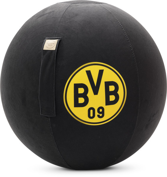 Sitzball BVB 09
