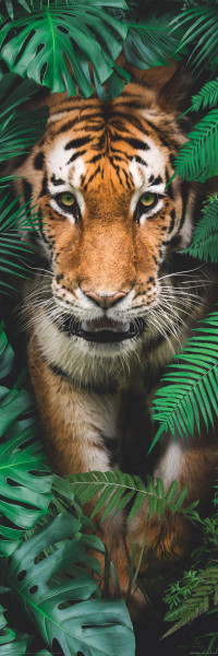 Bild WALKING TIGER in grün aus MDF
