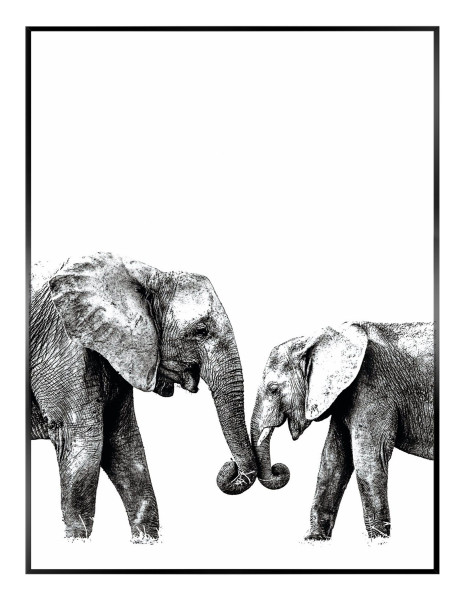 Bild ELEPHANT LOVE