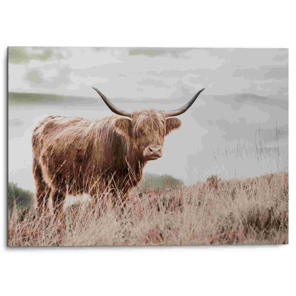 Bild HIGHLANDER in mehrfarbig aus Aluminium