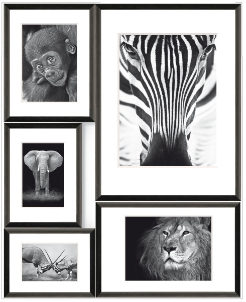 Bilderrahmen-Set WILD AFRICA