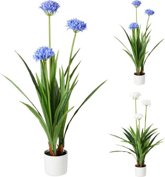 Kunstpflanze AGAPANTHUS in mehrfarbig aus Polypropylen