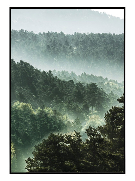 Bild SCANDIC FOREST