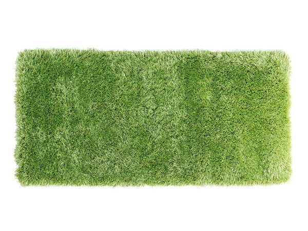 Teppich SPEEDY grün
