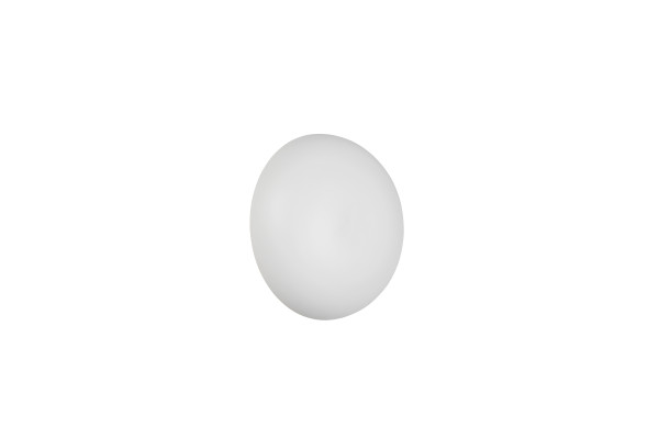 Wandleuchte LED DAVEY weiss