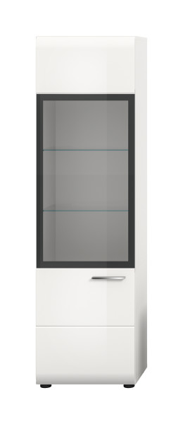 Vitrine ICE