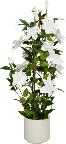 Kunstpflanze CLEMATIS in mehrfarbig aus Polypropylen