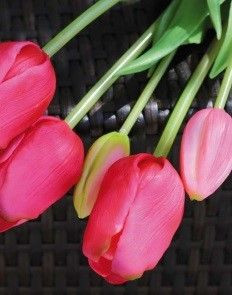Kunstblume TULPENBUND