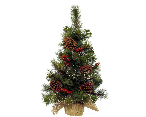 Weihnachtsbaum IPSWICH