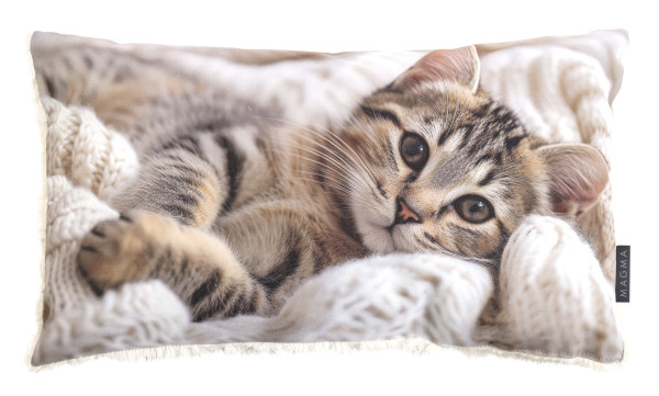 Kissen CAT