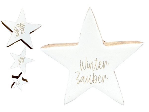 Dekostern WINTERZAUBER
