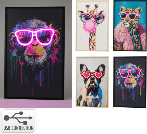 Bild LED FUNNY ANIMALS in mehrfarbig aus Materialmix