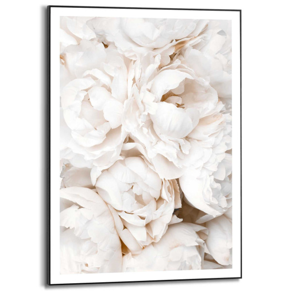 Bild WHITE ROSES in mehrfarbig