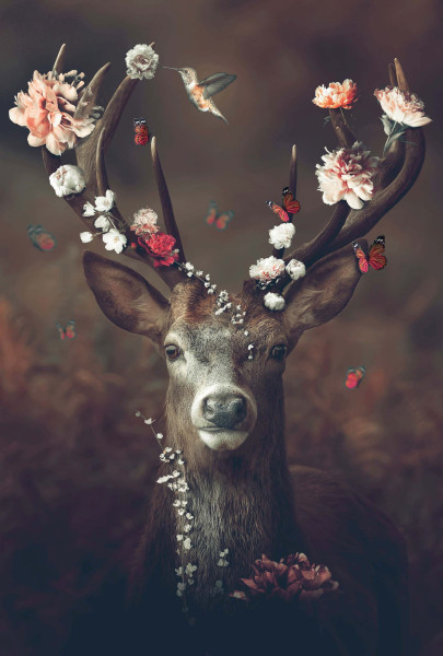 Glasbild FAUNA FLORA DEER