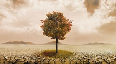 Bild MYSTIC TREE in mehrfarbig aus MDF