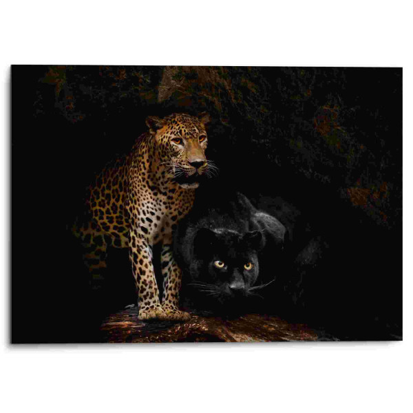 Bild CAVED CATS in mehrfarbig aus Aluminium