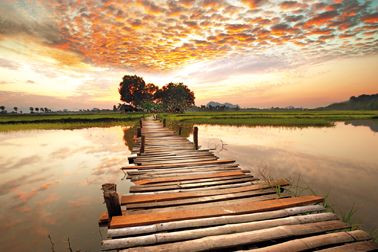 Bild WOODEN BRIDGE S in mehrfarbig aus MDF