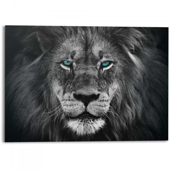 Bild LIONS FACE