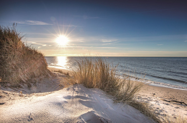 Bild SONNE AM MEER in mehrfarbig aus MDF