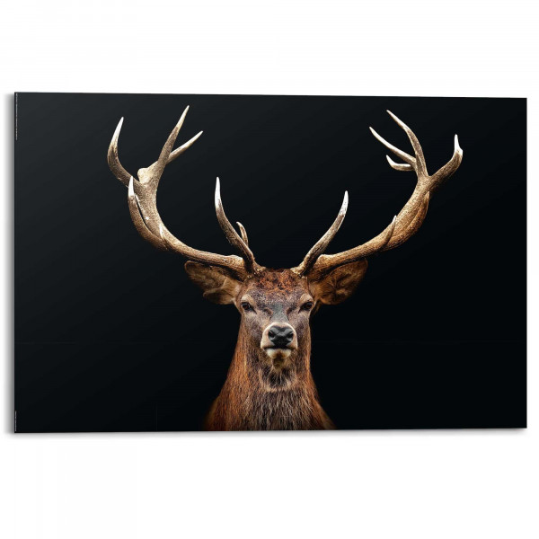 Bild DEER PORTRAIT in mehrfarbig