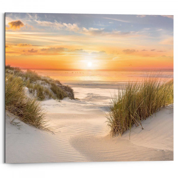 Bild BEAUTIFUL DUNES in mehrfarbig