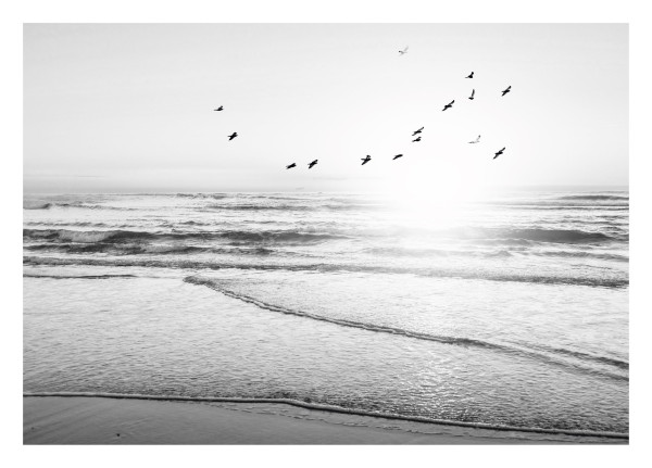 Bild BEACH SERENITY in schwarz/weiß/braun aus Holz
