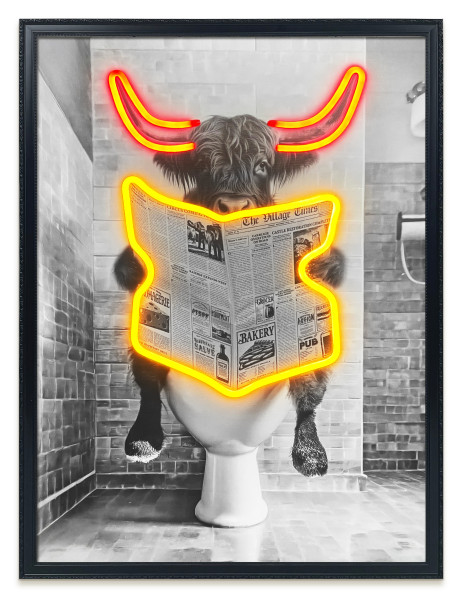 Bild HIGHLANDER TOILET in mehrfarbig aus Materialmix