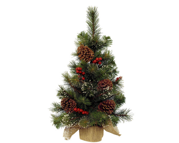 Weihnachtsbaum IPSWICH