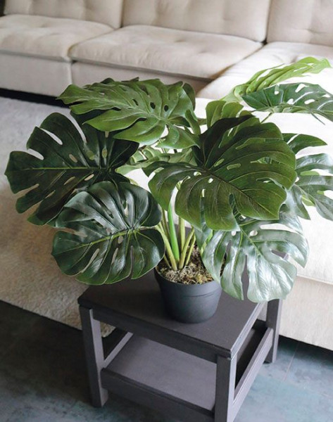 Kunstpflanze PHILODENDRON
