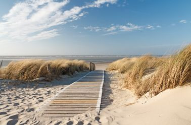 Bild SEA BREEZE P in mehrfarbig aus MDF