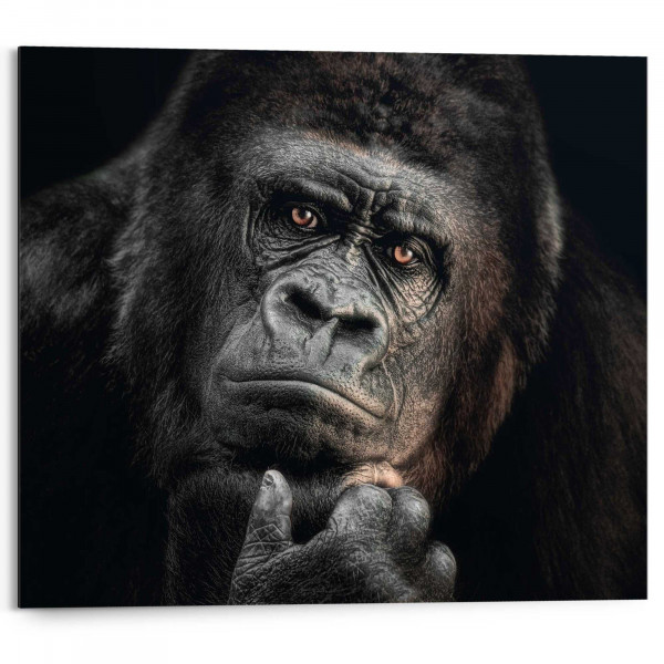 Bild GORILLA THINKING in mehrfarbig